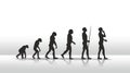 Evolution Royalty Free Stock Photo