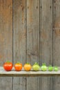 Evolution of red tomato - maturing process of the fruit