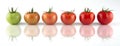 Evolution of red tomato Royalty Free Stock Photo