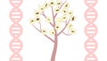 Evolution tree illustration Royalty Free Stock Photo