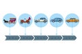 Evolution of vehicles and transport concept poster