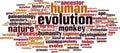 Evolution word cloud Royalty Free Stock Photo