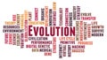 Evolution word cloud concept Royalty Free Stock Photo