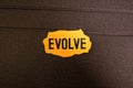 EVOLVE word made with building blocks Royalty Free Stock Photo