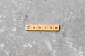 EVOLVE word written on wood block. EVOLVE text on cement table for your desing, concept Royalty Free Stock Photo