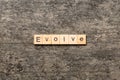 EVOLVE word written on wood block. EVOLVE text on cement table for your desing, concept Royalty Free Stock Photo