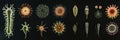 Evolving bacteria displayed in a vibrant sequence illustrating transformation and diversity in microscopic organisms