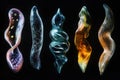 Evolving bacteria in various forms showcasing biological diversity and adaptability over time. Generative AI