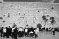 Ewish hasidic pray a the Western Wall