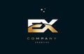 ex e x white yellow gold golden luxury alphabet letter logo ico