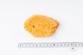 The exact size of a chicken fillet.Breaded chicken fillet of a medallion sliced on a white plate with a ruler for caliber