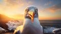 Exaggerated Facial Features In The Background Of Seagulls At Sunrise