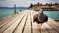 Exaggerated Nobility: A Gray Brown Bird On An Old Pier