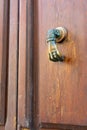 Exagonal Clapper on Green Painted Wood Door Royalty Free Stock Photo