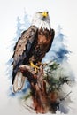 Exalted Majesty: A Professional Oil Painting of a Bald Eagle Per