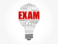 EXAM light bulb word cloud, education concept background Royalty Free Stock Photo