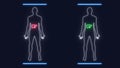 Analysis of Human Male Anatomy Scan on Futuristic Touch Screen Interface showing bones, organs, and neural network