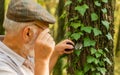 Examine with magnifying glass. Magnifying glass selective focus. Old man look at leaves with magnifying glass. Exploring Royalty Free Stock Photo