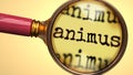 Examine and study animus, showed as a magnify glass and word animus to symbolize process of analyzing, exploring, learning and Royalty Free Stock Photo