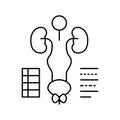 examining genitourinary system line icon vector illustration