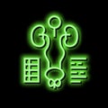 examining genitourinary system neon glow icon illustration