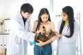 Examining pet in clinics concept. The vet is checking the cat health. Veterinarian doctor is making a check up of a cat.