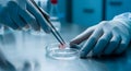Examining Tissue Sample in Lab: Precise Analysis with Tweezers and Gloves Royalty Free Stock Photo