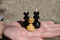 An example of the adoption of another in a family on chess pieces: two black king and queen and a white pawn Royalty Free Stock Photo