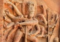 Example of indian artworks from 6th century, Dancing Shiva relief inside ancient Hindu temple, India