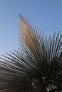 Detail of Changsha Star, a modern sculpture in the Meixihu subdistrict of Changsha City, Hunan Province, China