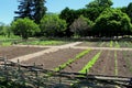 Example of typical Garrison gardening, King's Garden, Fort Ticonderoga, New York, 2015