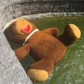 Example of vandalism: teddy bear in a fountain