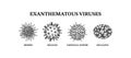Exanthematous viruses. Hand drawn set of microorganisms. Scientific vector illustration in sketch style