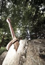 Excalibur the famous sword in the stone of king Arthur Royalty Free Stock Photo