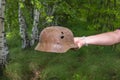 Digging in the forest. The German helmet M35. Imitation. WW2 recovery. Russia.