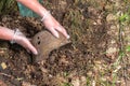 Digging in the forest. The German helmet M35. Imitation. WW2 recovery. Russia.