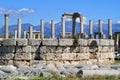 Excavations at Perge Royalty Free Stock Photo