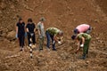 Excavations at the site of a war crime. Site of a mass shooting of people. Human remains bones of skeleton, skulls