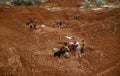 Excavations at the site of a war crime. Site of a mass shooting of people. Human remains bones of skeleton, skulls