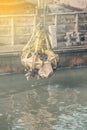 Excavator on barge with hydraulic rotator stone grab 2