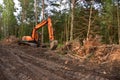 Excavator clearing forest for new development. Orange Backhoe modified for forestry work. Tracked heavy power machinery for forest Royalty Free Stock Photo