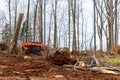 Excavator clearing forest for new development with roots of cut down trees