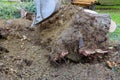 Excavator clearing land the uprooting of trees into