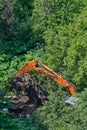 The excavator demolishes illegal buildings in the forest among green trees Royalty Free Stock Photo