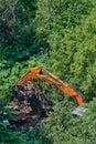 The excavator demolishes illegal buildings in the forest among green trees