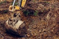 The excavator digs soil into the forest and uproots the roots of the trees