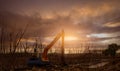 Excavator dredging mud at mangrove. Backhoe digging mud at construction site. Excavating machine removing sediment from waterway.