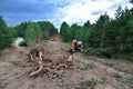 Excavator Grapple during clearing forest for Construction Natural gas pipeline. Installation Petrochemical Pipe. Construction the