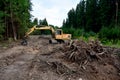 Excavator Grapple during clearing forest for new development. Tracked Backhoe with forest clamp for forestry work. Tracked timber Royalty Free Stock Photo