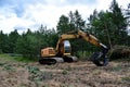 Excavator Grapple during clearing forest for new development. Tracked Backhoe with forest clamp for forestry work. Tracked timber Royalty Free Stock Photo